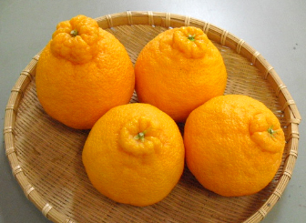 不知火